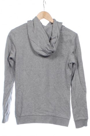 Dziecięca bluza Page One, Rozmiar 15-18y/ 170-176 cm, Kolor Szary, Cena 60,31 zł