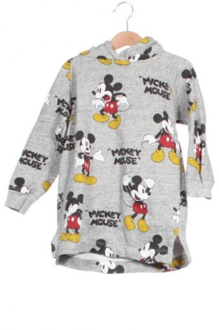 Dětská mikina  Zara, Velikost 4-5y/ 110-116 cm, Barva Vícebarevné, Cena  450,00 Kč