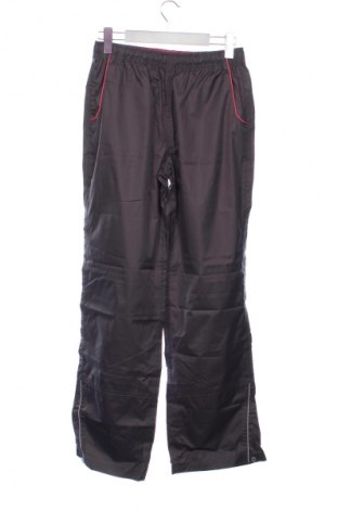 Детско спортно долнище Crane, Размер 12-13y/ 158-164 см, Цвят Сив, Цена 6,13 €