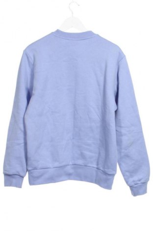 Herren Shirt Lacoste, Größe XS, Farbe Blau, Preis € 88,99