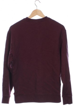 Pánské tričko  Levi's, Velikost XS, Barva Fialová, Cena  1 429,00 Kč