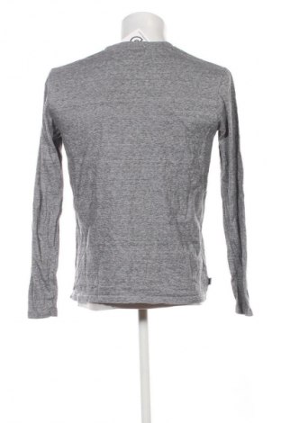 Herren Shirt Superdry, Größe L, Farbe Grau, Preis € 20,99