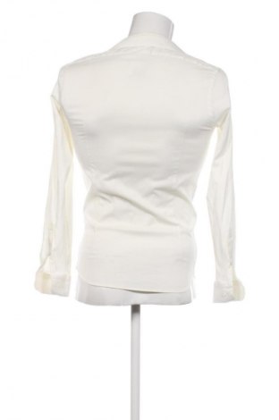 Herrenhemd Pierre Carlos, Größe M, Farbe Ecru, Preis € 21,99