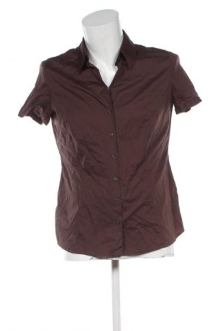 Herrenhemd S.Oliver, Größe M, Farbe Braun, Preis 11,99 €