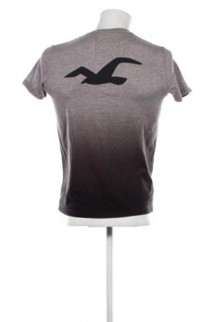 Męski T-shirt Hollister, Rozmiar M, Kolor Brązowy, Cena 42,87 zł