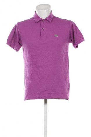 Herren Shirt Lacoste, Größe M, Farbe Lila, Preis 31,99 €