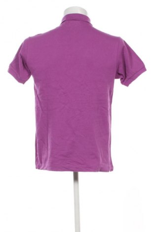Herren Shirt Lacoste, Größe M, Farbe Lila, Preis 31,99 €