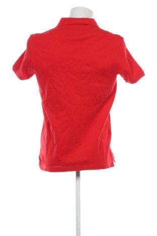 Herren T-Shirt U.S. Polo Assn., Größe M, Farbe Rot, Preis € 13,30