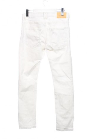 Herren Jeans Bershka, Größe S, Farbe Weiß, Preis 13,99 €