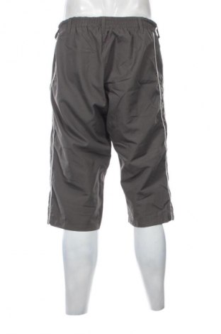 Ανδρικό κοντό παντελόνι Crivit, Μέγεθος L, Χρώμα Πράσινο, Τιμή 10,00 €