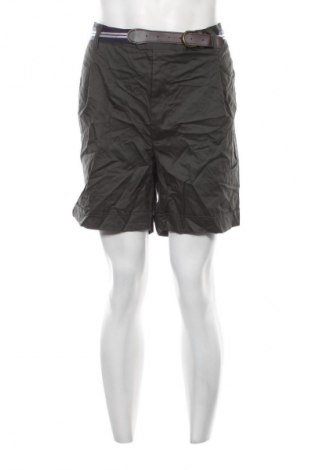 Ανδρικό κοντό παντελόνι Project, Μέγεθος 3XL, Χρώμα Πράσινο, Τιμή 7,99 €