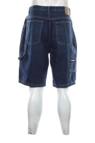 Ανδρικό κοντό παντελόνι Stamina, Μέγεθος L, Χρώμα Μπλέ, Τιμή 17,38 €