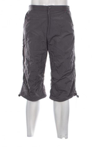 Ανδρικό κοντό παντελόνι TCM, Μέγεθος L, Χρώμα Γκρί, Τιμή 7,99 €