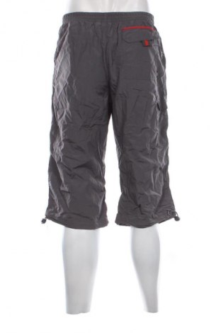 Ανδρικό κοντό παντελόνι TCM, Μέγεθος L, Χρώμα Γκρί, Τιμή 7,99 €