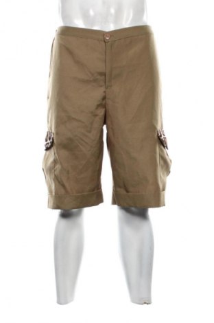 Ανδρικό κοντό παντελόνι Unbranded, Μέγεθος M, Χρώμα Πράσινο, Τιμή 13,99 €