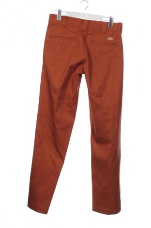 Herrenhose Dickies, Größe M, Farbe Braun, Preis € 55,99