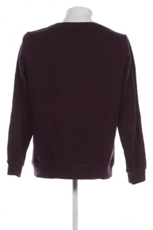 Herrenpullover Hilfiger Denim, Größe L, Farbe Lila, Preis 29,99 €