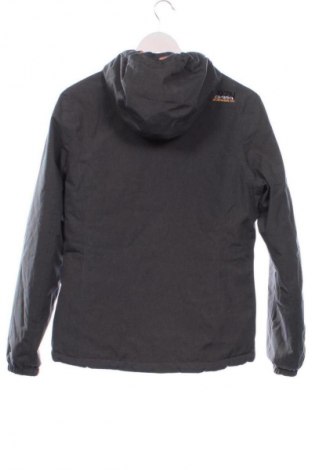 Herrenjacke Icepeak, Größe XS, Farbe Mehrfarbig, Preis € 30,99