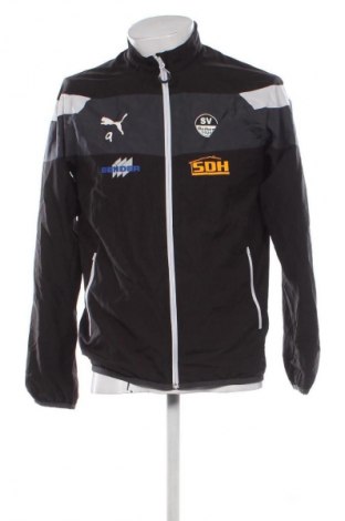 Herrenjacke PUMA, Größe S, Farbe Schwarz, Preis 32,99 €