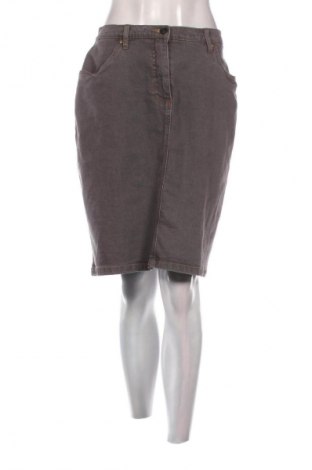 Rock Bpc Bonprix Collection, Größe XL, Farbe Grau, Preis 14,83 €