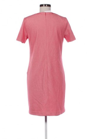 Sukienka Gant, Rozmiar M, Kolor Kolorowy, Cena 356,67 zł