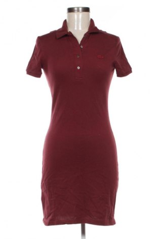 Sukienka Lacoste, Rozmiar XS, Kolor Czerwony, Cena 214,99 zł