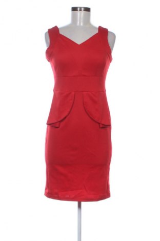 Kleid Nature, Größe L, Farbe Rot, Preis 65,57 €