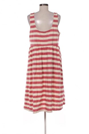 Kleid Next, Größe XL, Farbe Mehrfarbig, Preis € 32,99