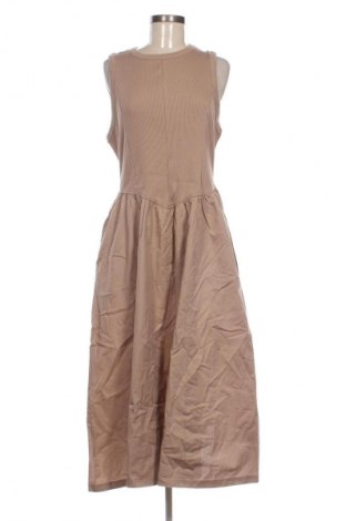 Kleid Next, Größe XL, Farbe Beige, Preis € 58,99
