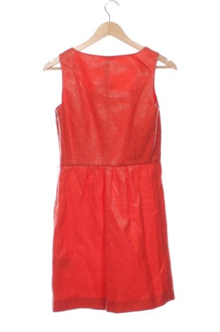 Sukienka Penny Black, Rozmiar M, Kolor Pomarańczowy, Cena 353,66 zł