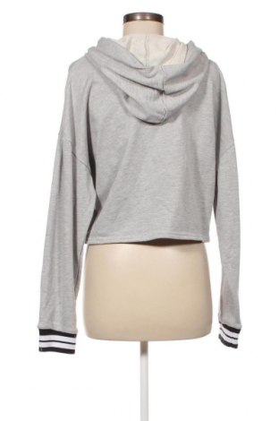 Γυναικείο φούτερ Undiz, Μέγεθος XL, Χρώμα Γκρί, 60% βαμβάκι, 40% πολυεστέρας, Τιμή 20,17 €