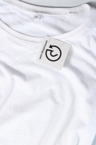Γυναικεία μπλούζα, Μέγεθος XL, Χρώμα Λευκό, Τιμή 4,95 €