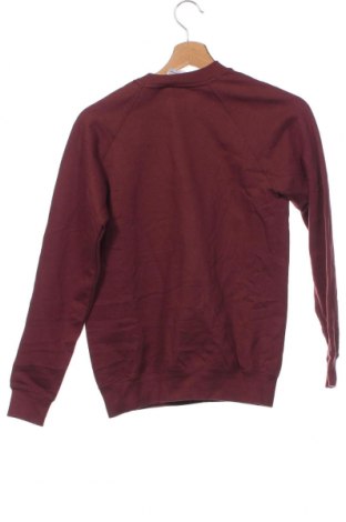 Γυναικεία μπλούζα, Μέγεθος S, Χρώμα Κόκκινο, Τιμή 3,29 €