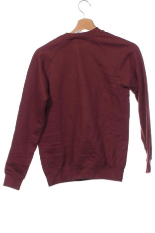 Damen Shirt, Größe S, Farbe Rot, Preis € 3,17