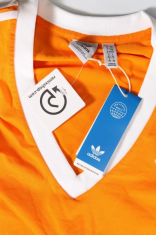 Damen Shirt Adidas Originals, Größe XXS, Farbe Orange, Preis 7,89 €