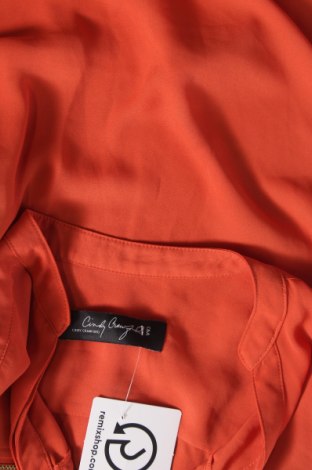 Γυναικεία μπλούζα Cindy Crawford, Μέγεθος XS, Χρώμα Πορτοκαλί, Τιμή 1,77 €