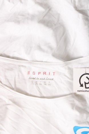 Γυναικεία μπλούζα Esprit, Μέγεθος XXL, Χρώμα Λευκό, Τιμή 14,85 €