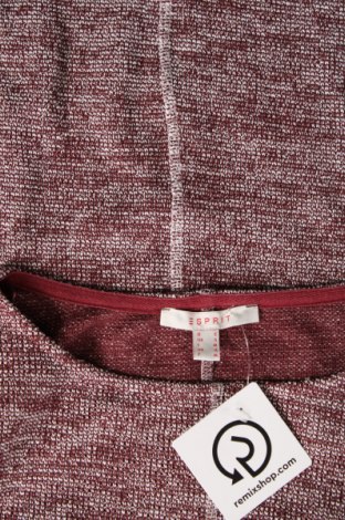 Damen Shirt Esprit, Größe S, Farbe Mehrfarbig, Preis 2,84 €