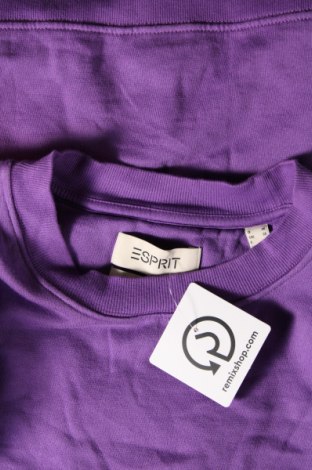Damen Shirt Esprit, Größe M, Farbe Lila, Preis 16,70 €