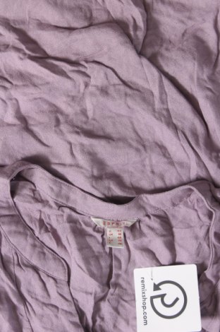 Damen Shirt Esprit, Größe XL, Farbe Lila, Preis 16,70 €