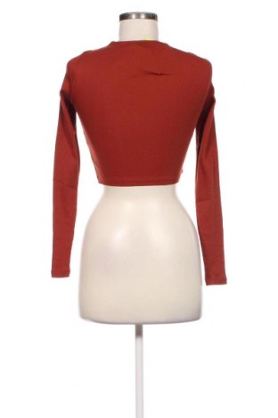 Γυναικεία μπλούζα Even&Odd, Μέγεθος XS, Χρώμα Καφέ, Τιμή 3,84 €