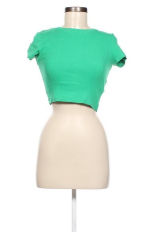 Γυναικεία μπλούζα FSBN Sister, Μέγεθος S, Χρώμα Πράσινο, Τιμή 3,89 €