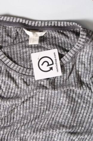 Γυναικεία μπλούζα H&M, Μέγεθος XS, Χρώμα Γκρί, Τιμή 3,06 €