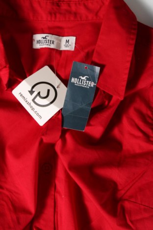 Damen Shirt Hollister, Größe M, Farbe Rot, Preis 37,11 €