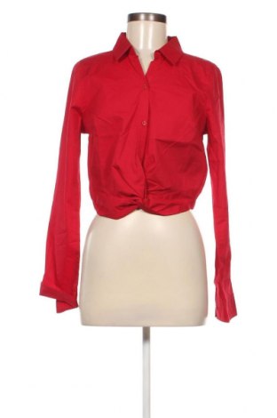 Damen Shirt Hollister, Größe M, Farbe Rot, Preis € 37,11