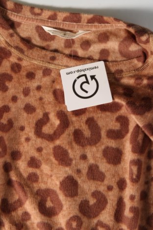 Γυναικεία μπλούζα Marks & Spencer, Μέγεθος S, Χρώμα Καφέ, Τιμή 3,22 €