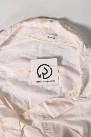 Γυναικεία μπλούζα Opus, Μέγεθος L, Χρώμα Εκρού, Τιμή 14,93 €