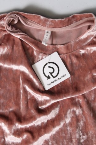 Damen Shirt Stradivarius, Größe S, Farbe Rosa, Preis 3,17 €