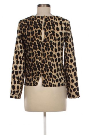 Damen Shirt Zara, Größe XS, Farbe Mehrfarbig, Preis 5,91 €