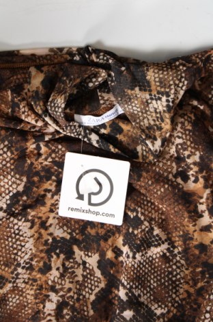 Γυναικεία μπλούζα Zara Trafaluc, Μέγεθος S, Χρώμα Πολύχρωμο, Τιμή 3,09 €